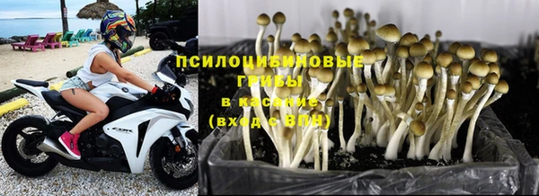 MESCALINE Беломорск